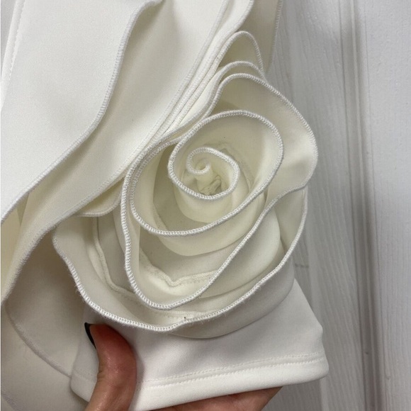 Rose - Picture 5 of 11